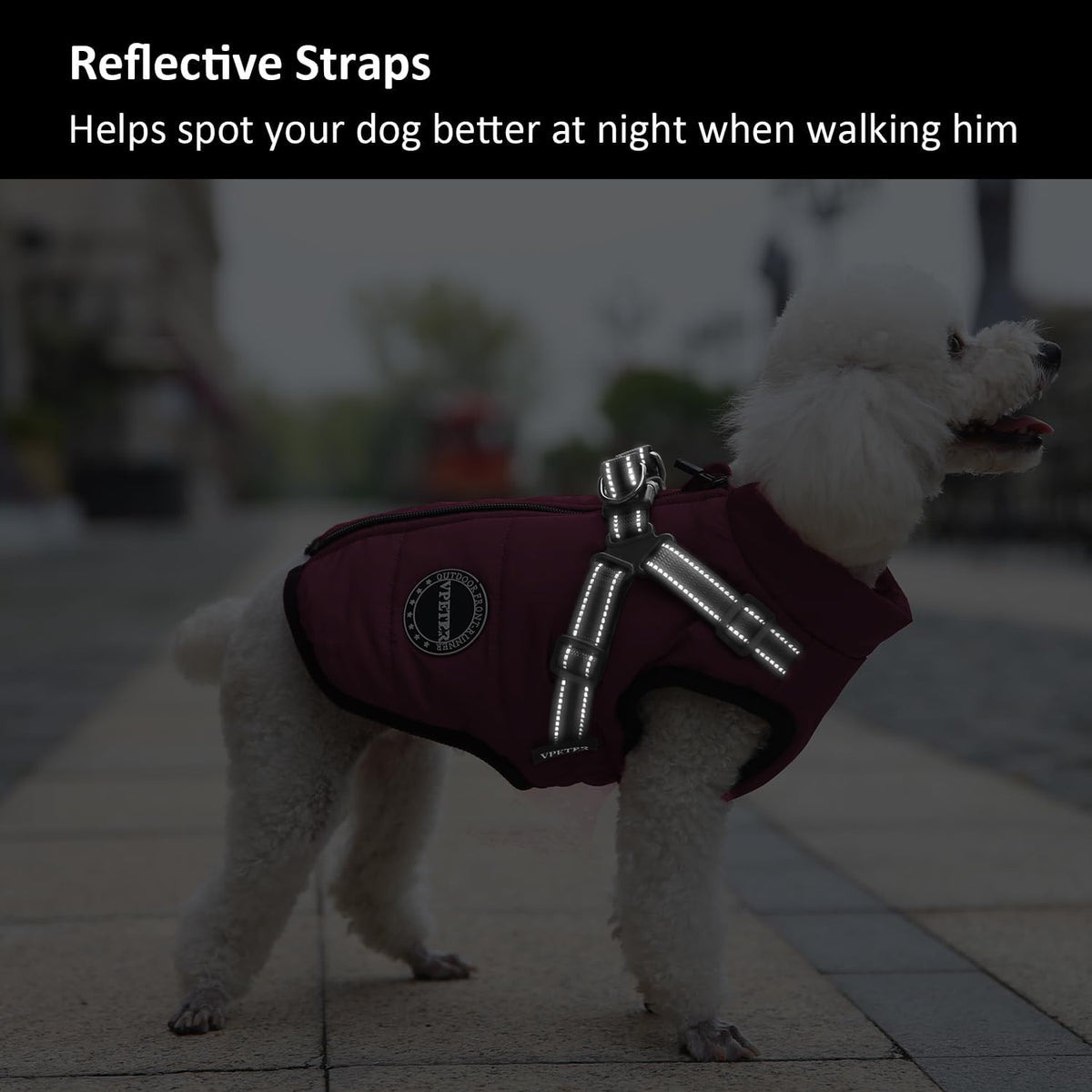 Dog Winter Coat,Warm Jacket Paded Fleece Pet Vest with Built in Harness,Windproof Reflective Cozy Adjustable Snow Pet Coat Clothes with Zipper for Small Medium Large Dogs